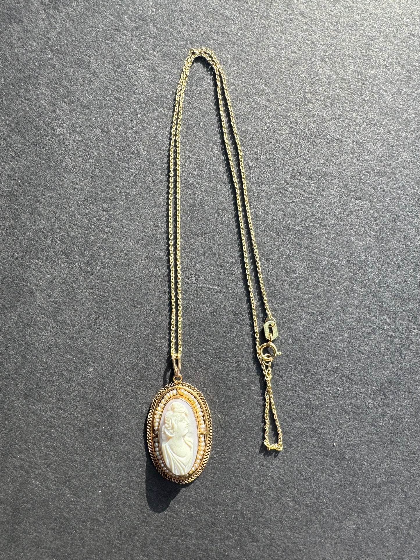 Antique 10k Gold and Coral Cameo Necklace