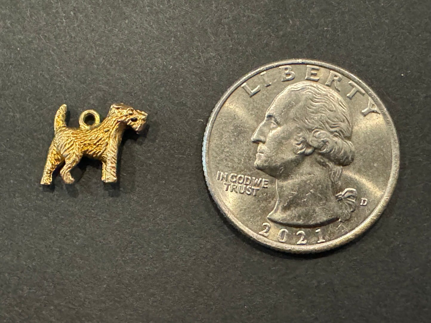 9k 3 Dimensional Schnauzer Charm