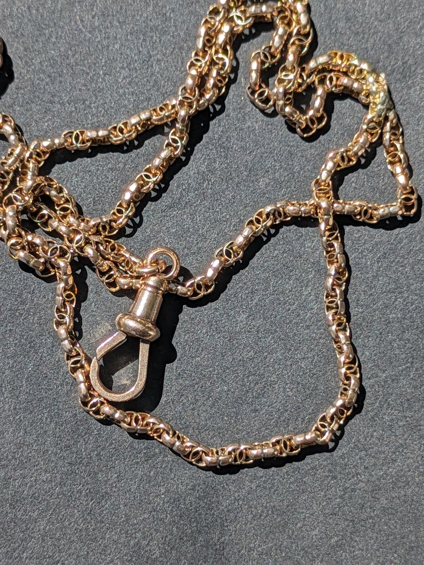 English Beautiful Chain with Dog Clip