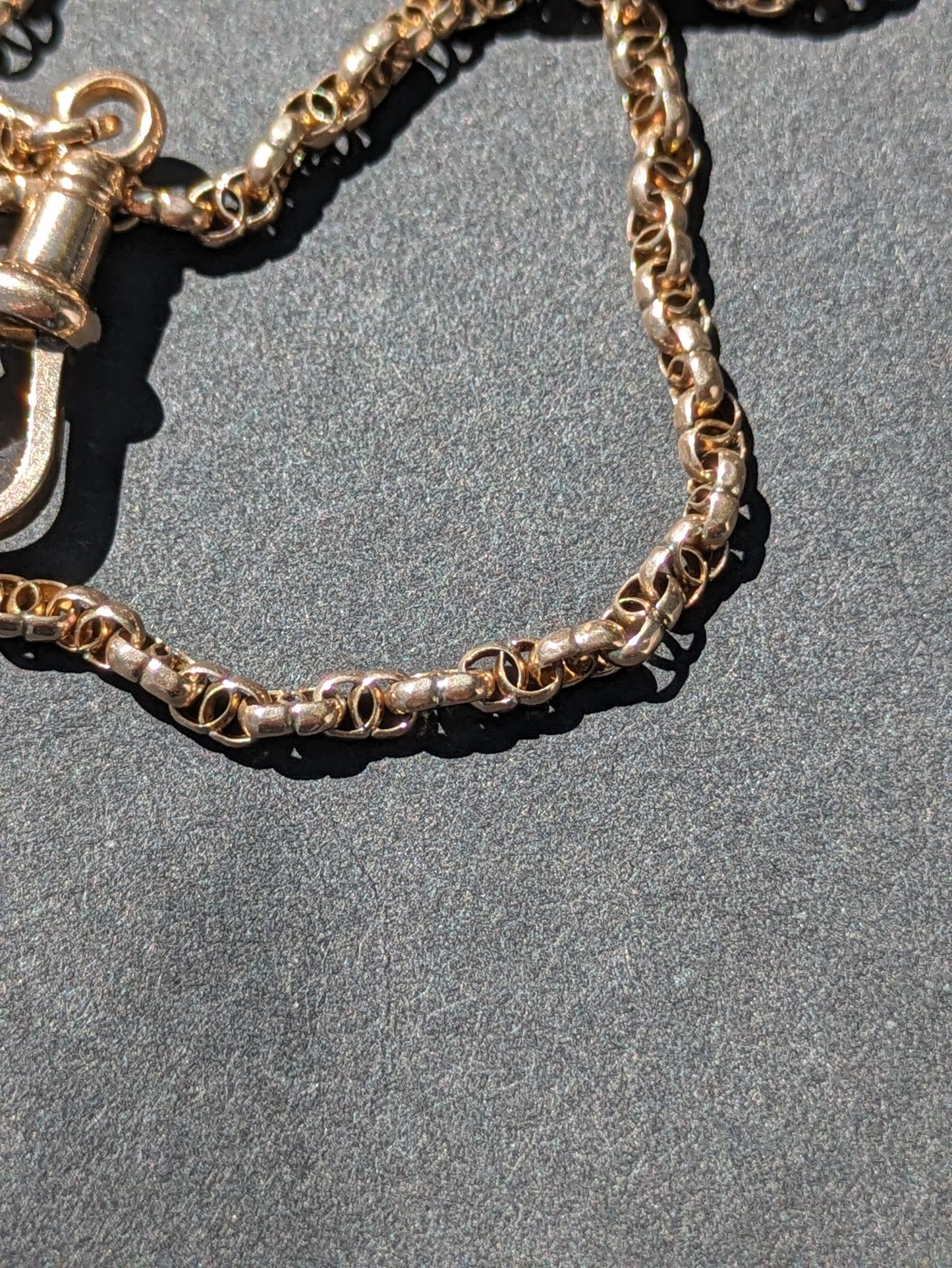 English Beautiful Chain with Dog Clip