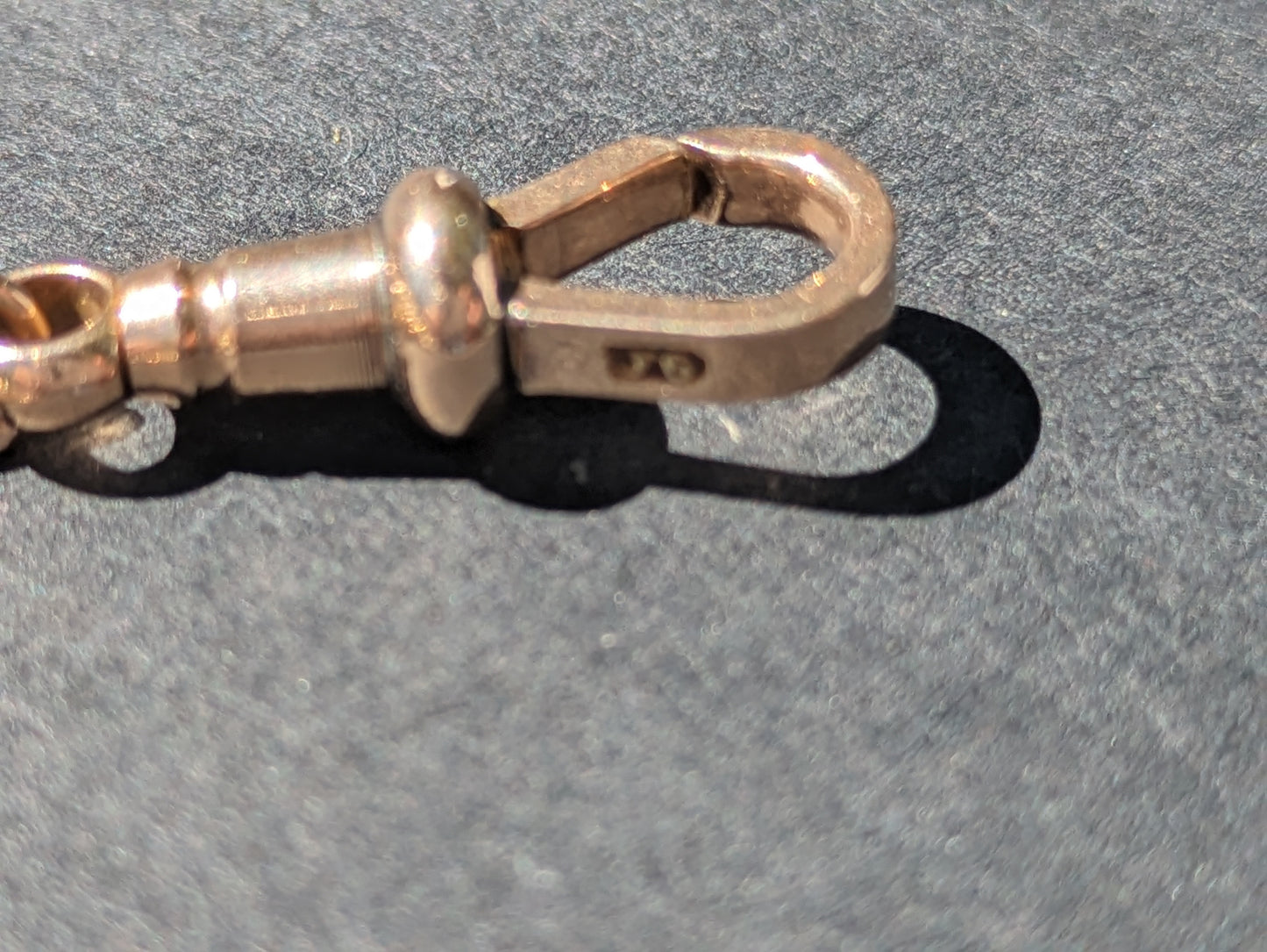 English Beautiful Chain with Dog Clip