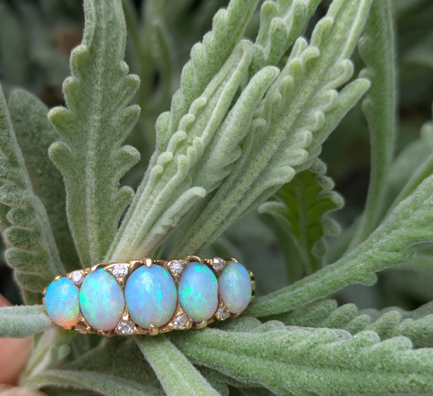 18k 5 Stone & Diamond Opal Ring