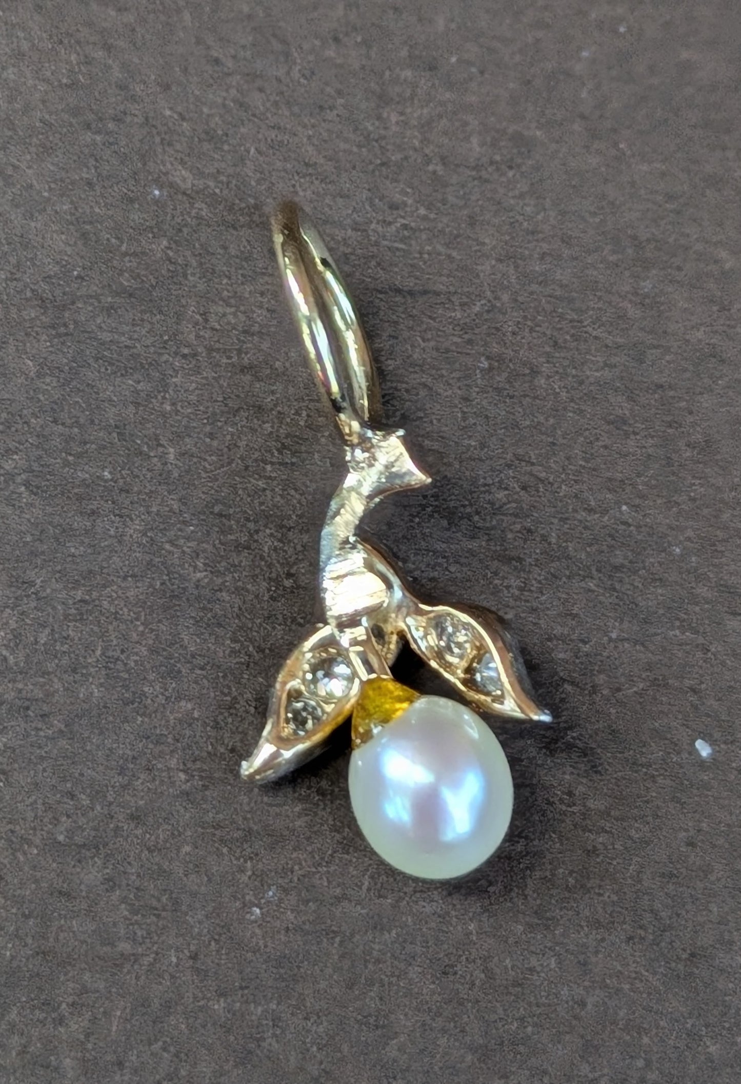 14kt White Gold Pear Fruit with Diamonds Charm