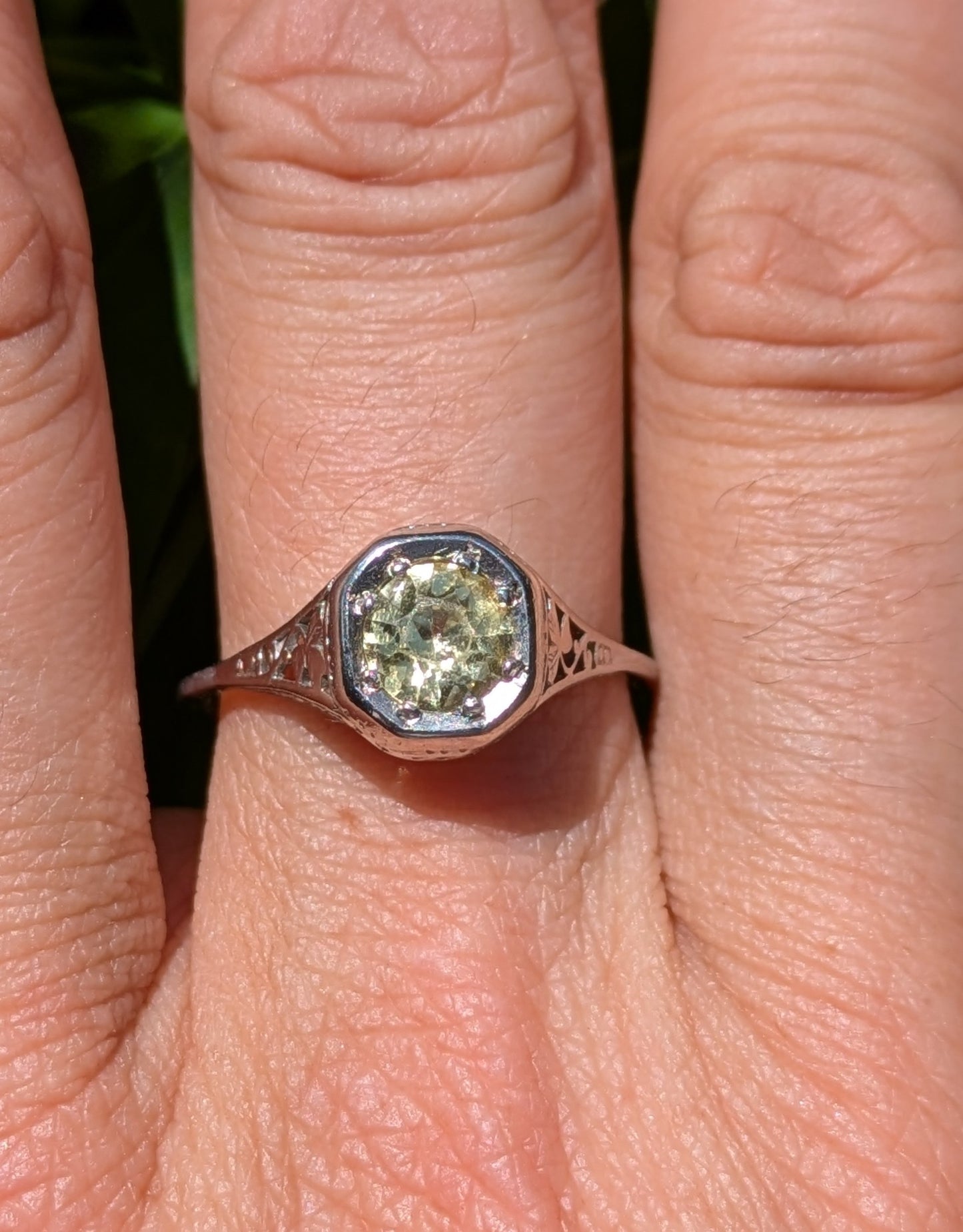 14k White Gold Edwardian Ring with Yellow Sapphire