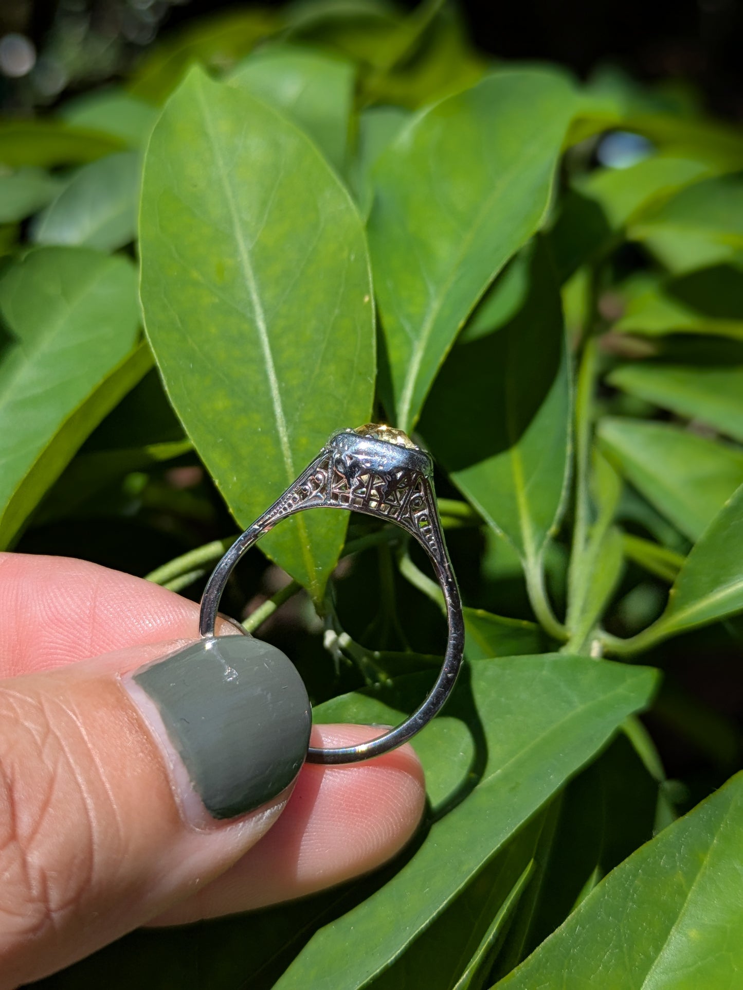 14k White Gold Edwardian Ring with Yellow Sapphire