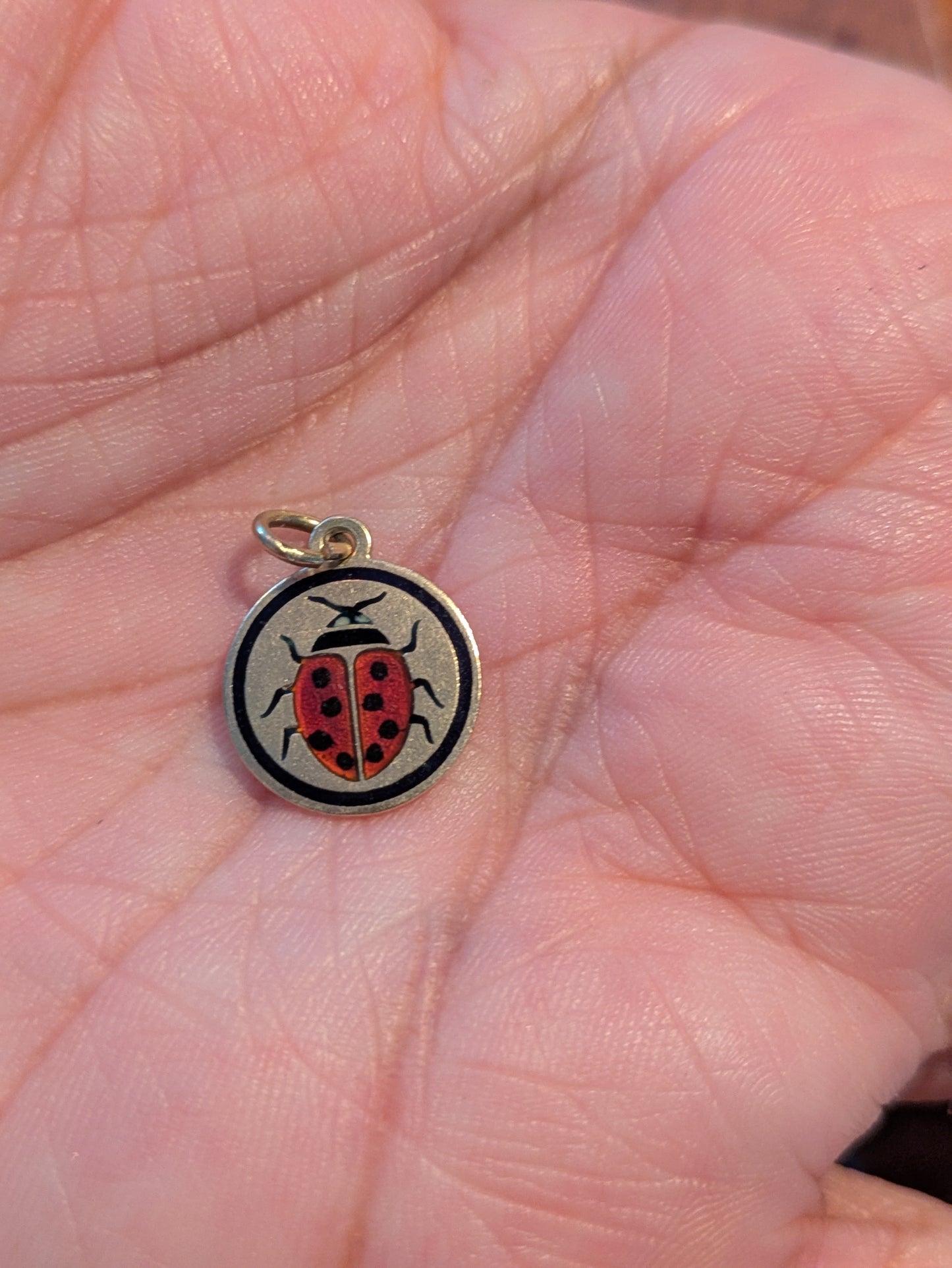 18kt Ladybug Enameled Disk Charm