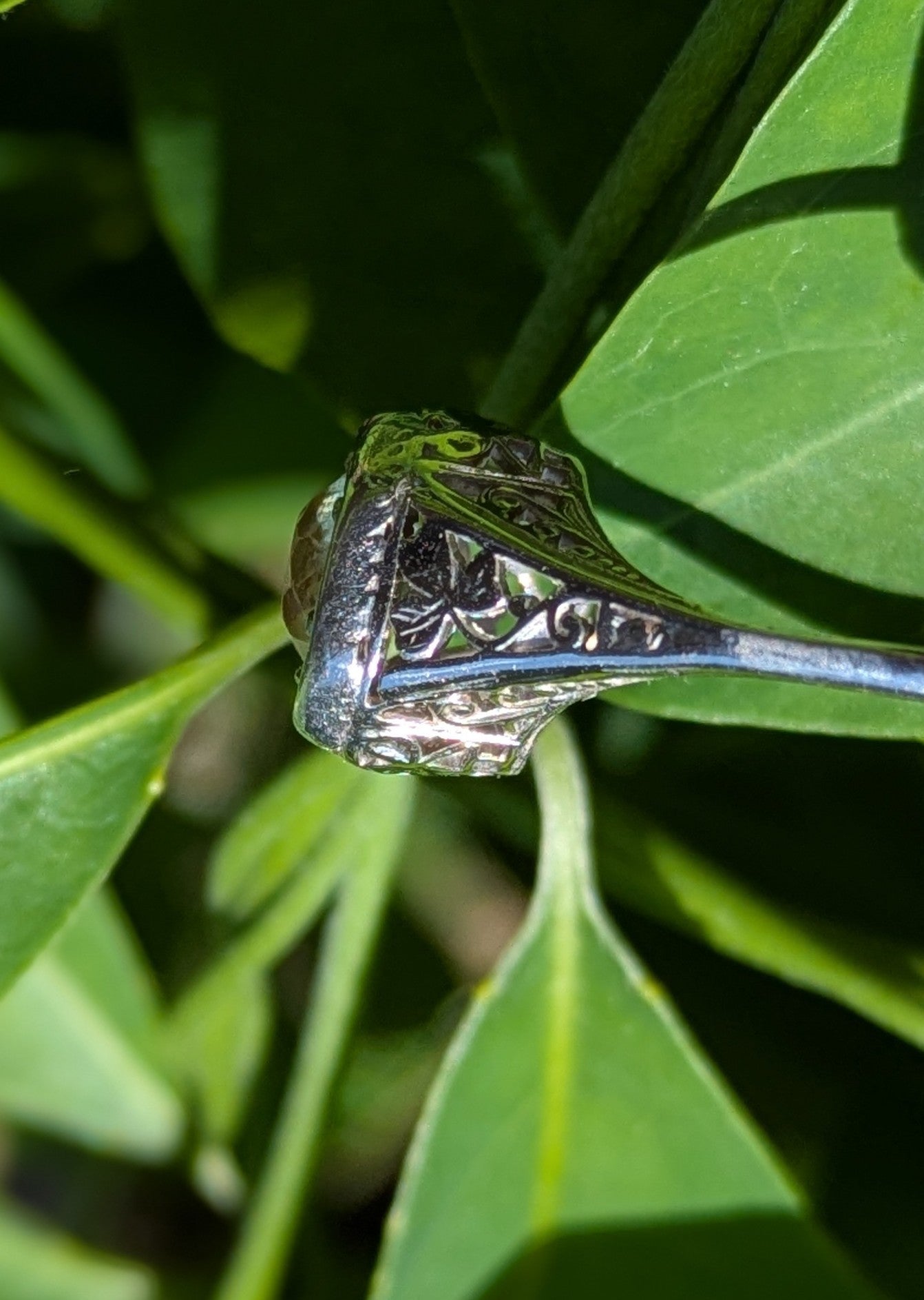 14k White Gold Edwardian Ring with Yellow Sapphire