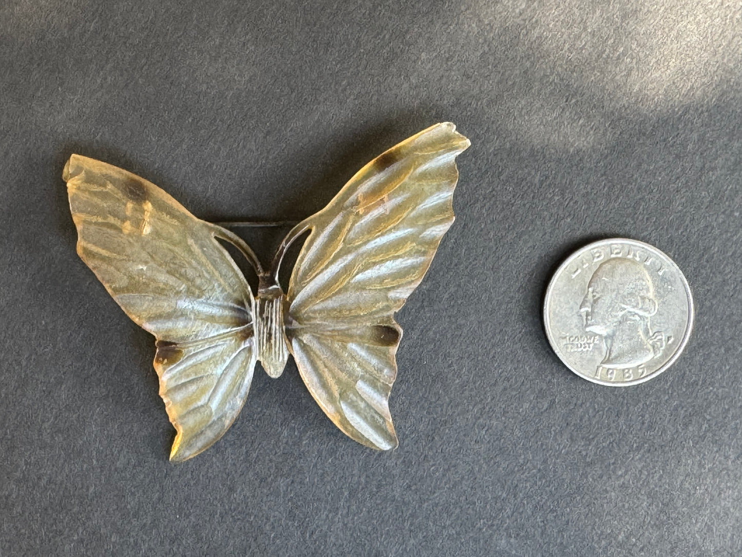 French 1920s Art Nouveau Carved Horn Butterfly Brooch