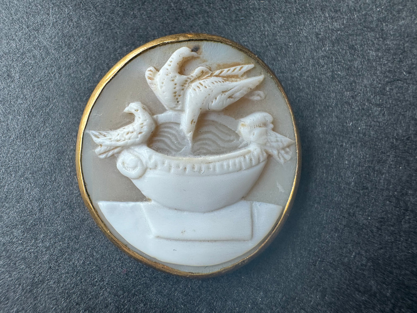 Pliny the Elder Cameo Pendant