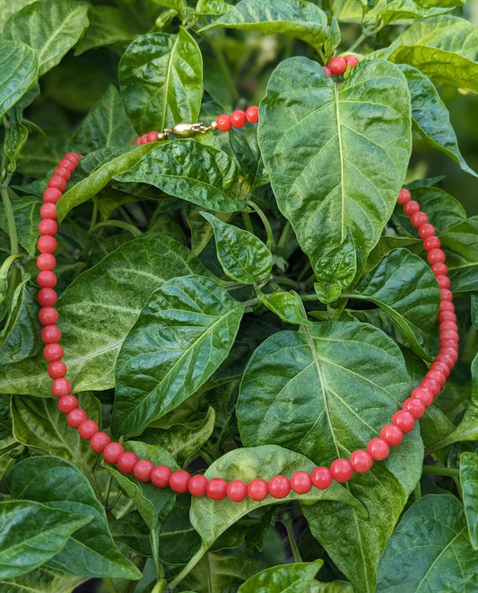 Natural Coral Necklace