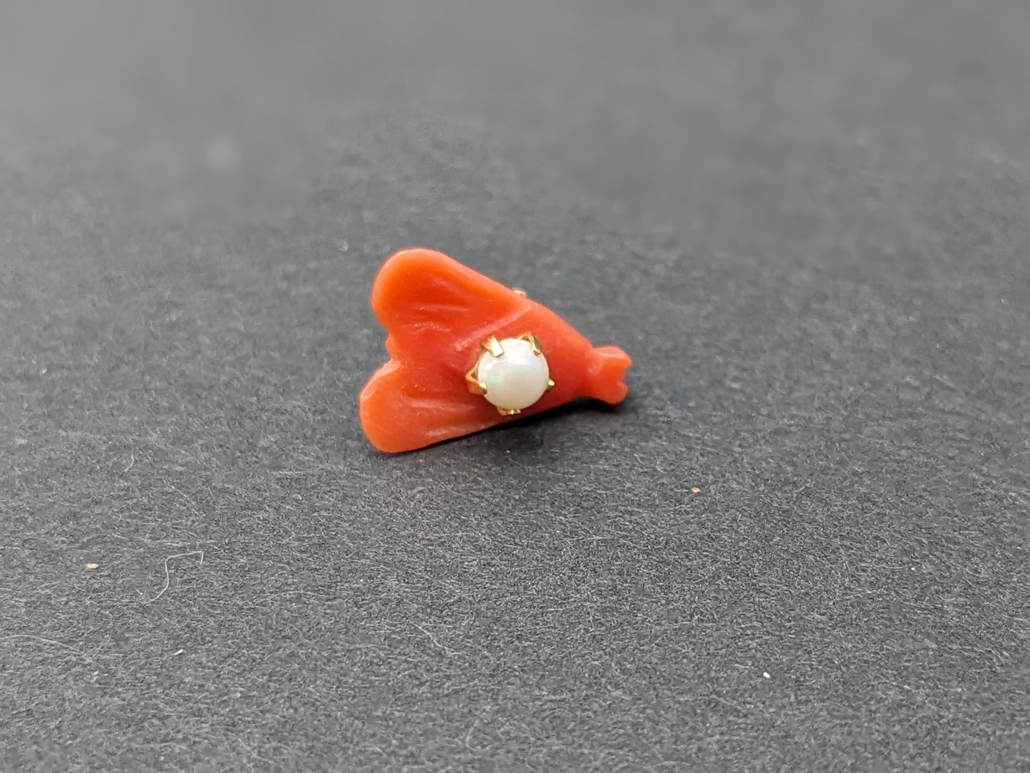 Single Earring Carved Coral Fly with Opal Center