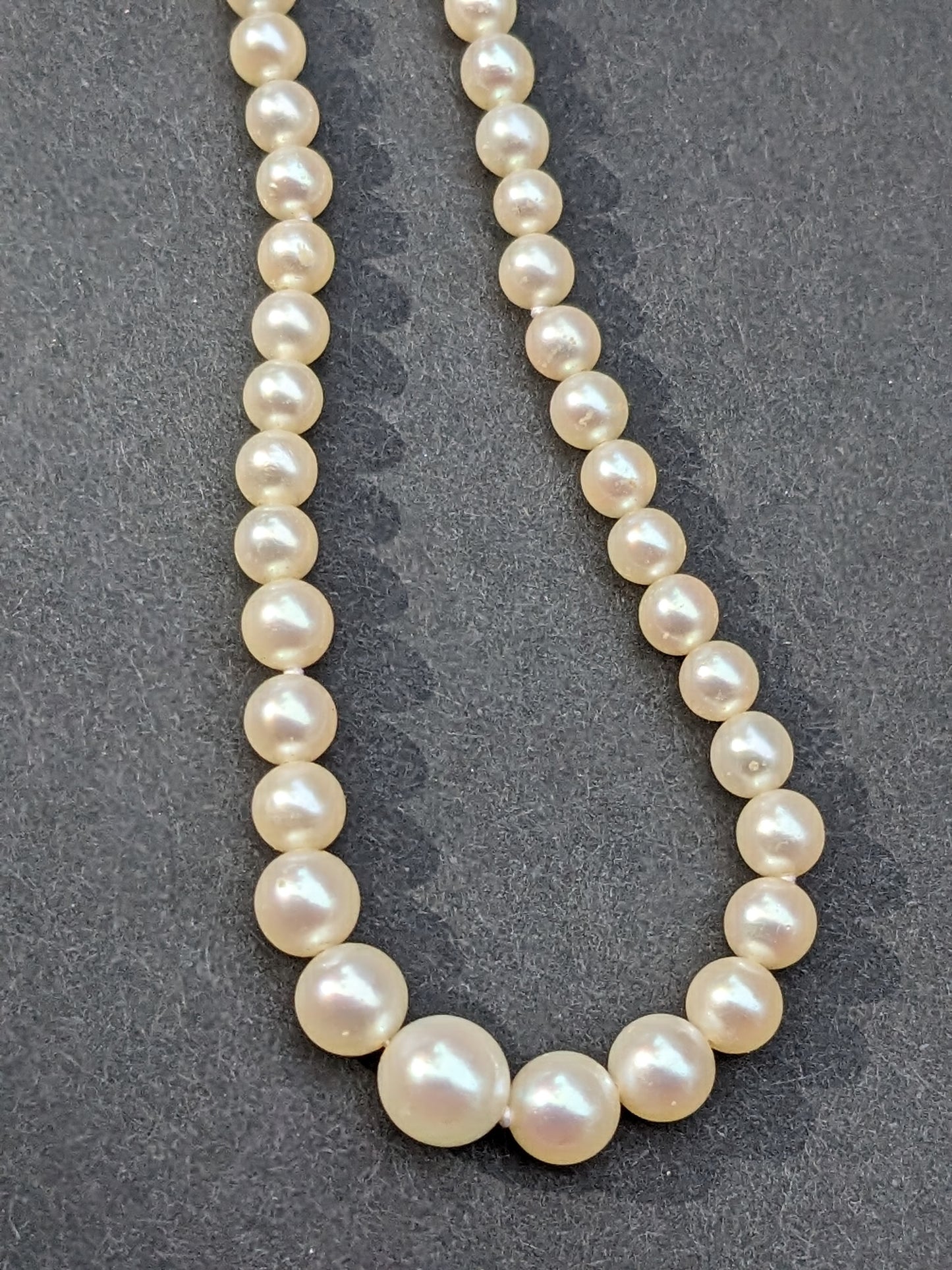 14K Antique Graduated Pearl Necklace with Bow Clasp