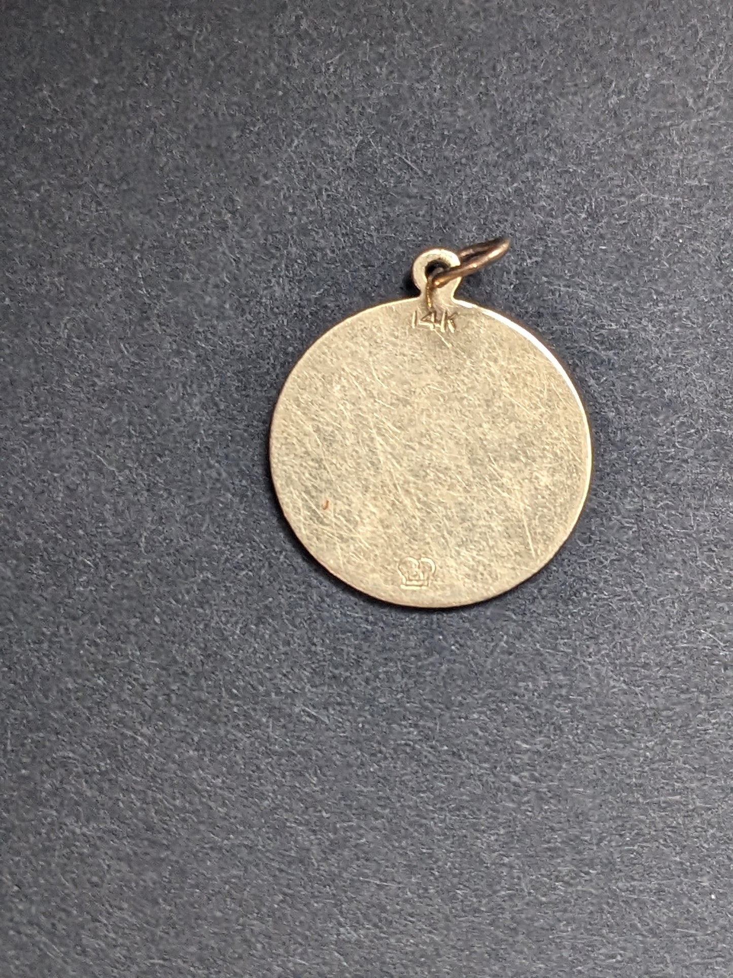 14K Aquarius Disc Charm