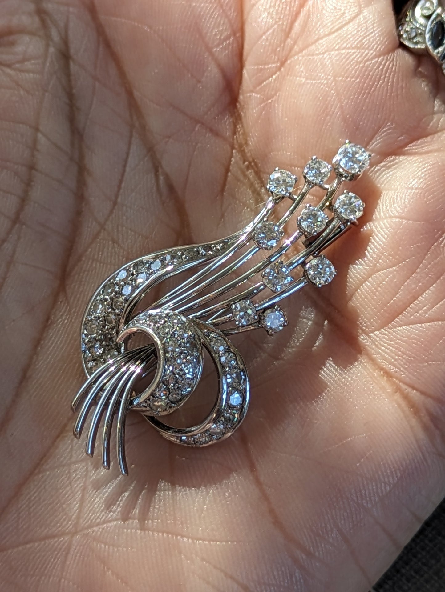 18k White Gold Diamond Spray Brooch