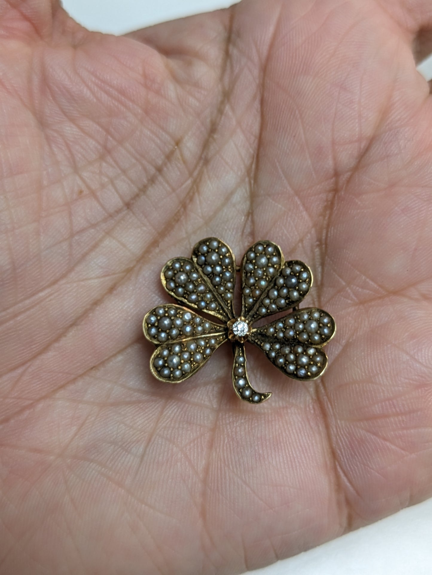 14k Victorian Seed Pearl Clover/Shamrock Brooch