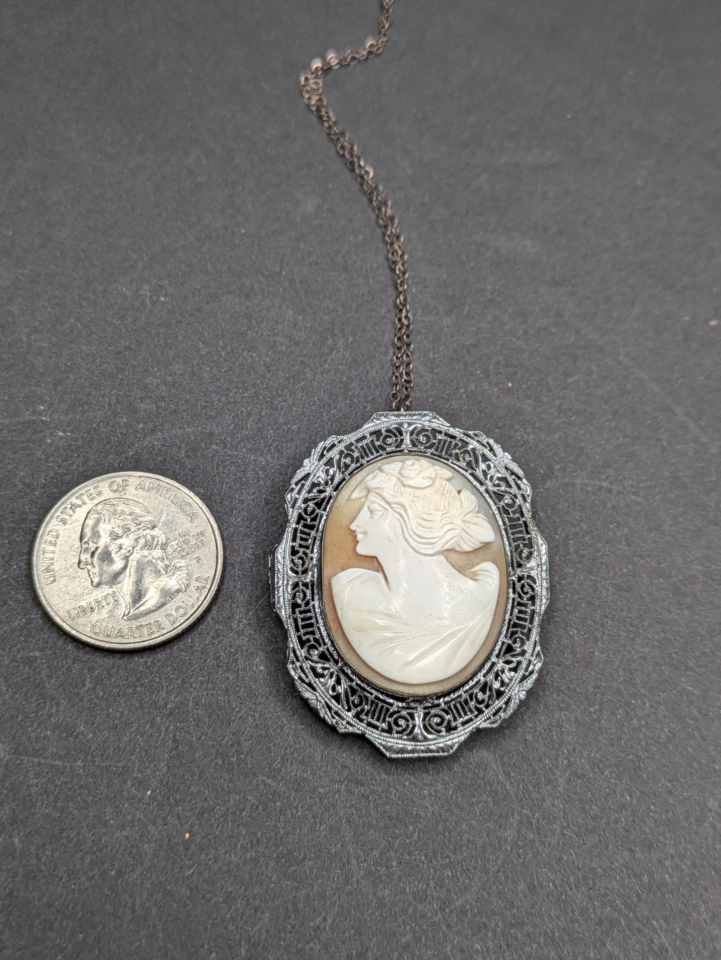 Shell Cameo Framed in Rhodium Necklace