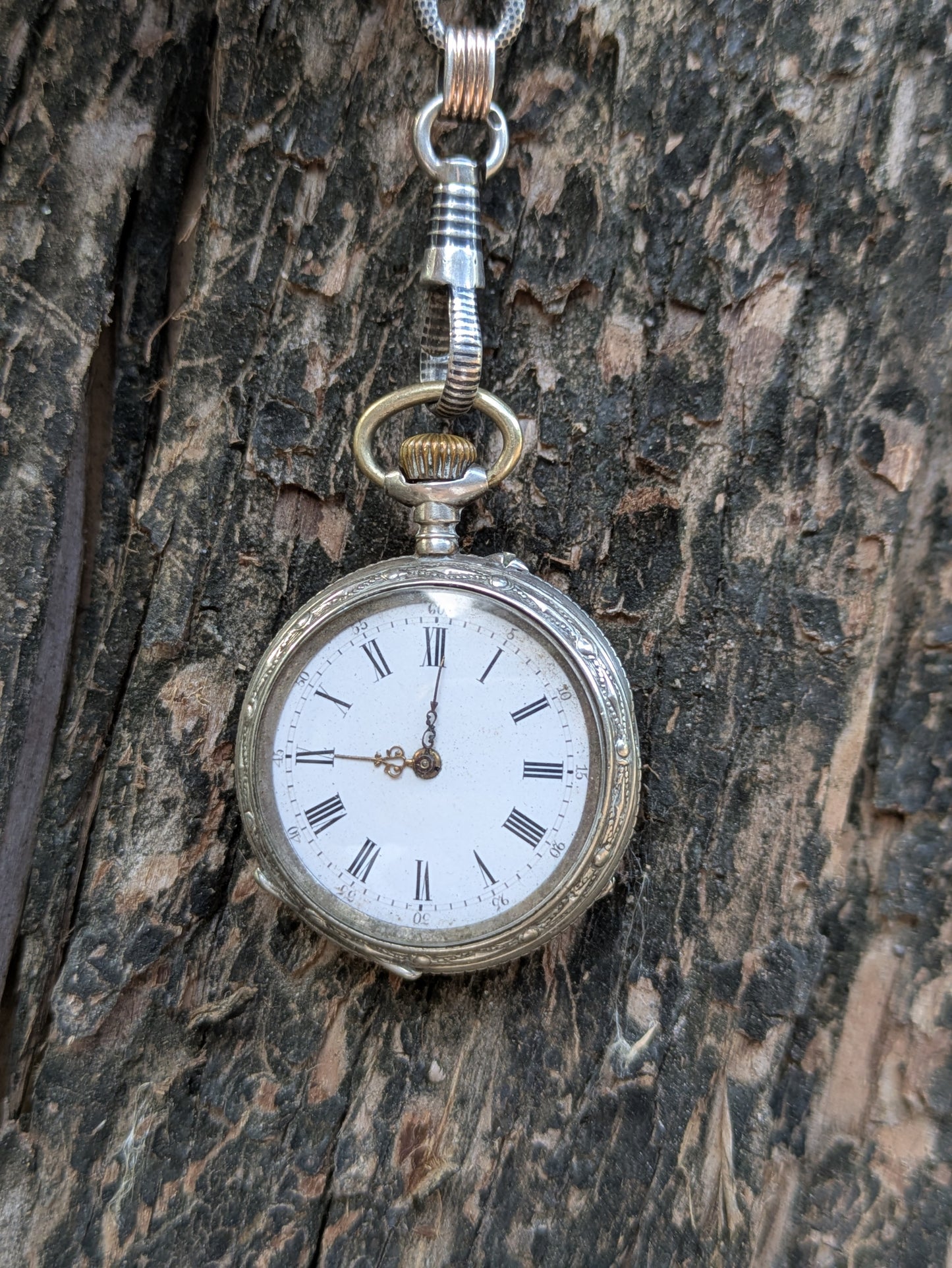 Swiss Niello Sterling Pocket Watch with Rose Gold Watch Chain and Locket