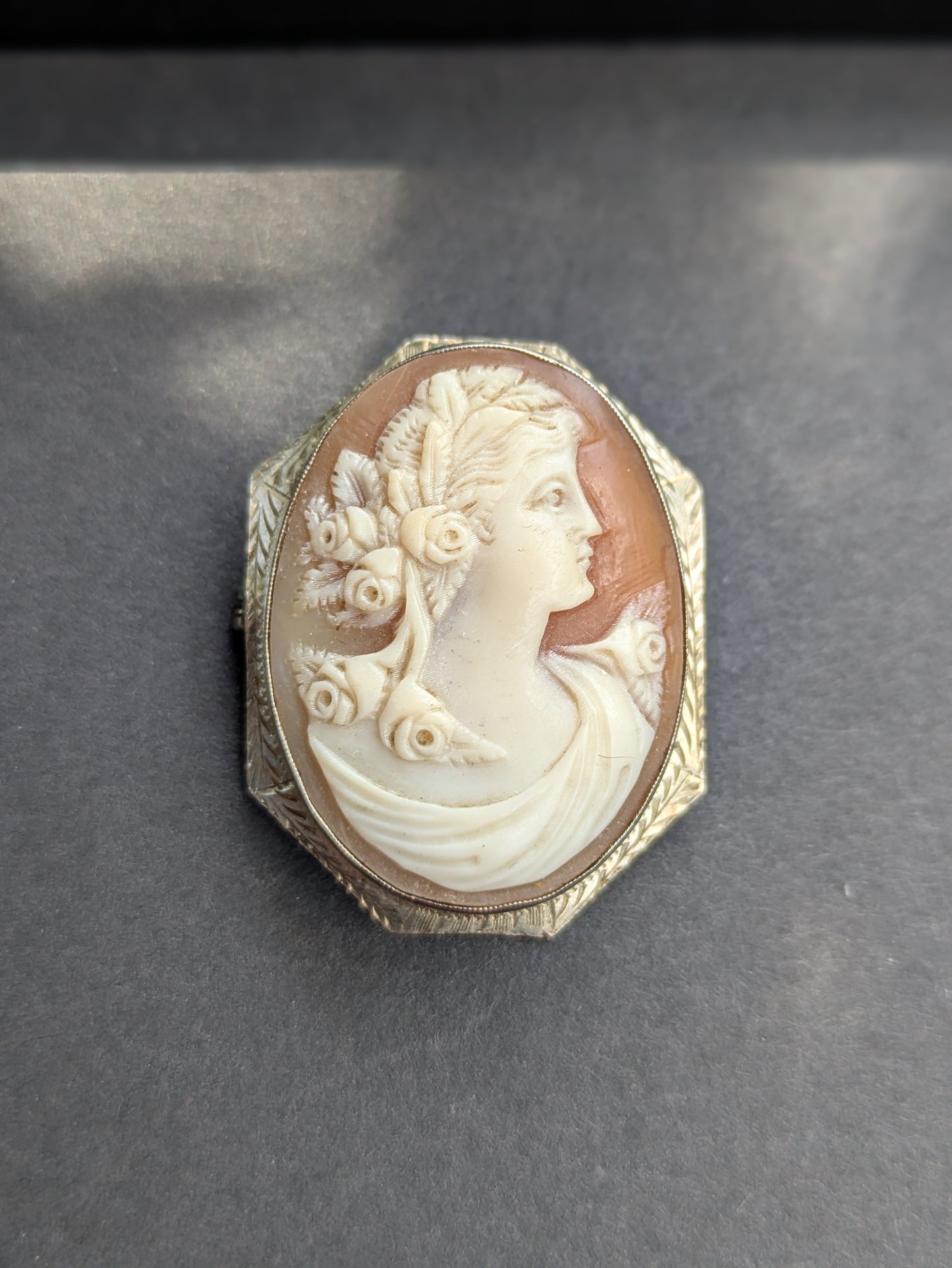 10k White Gold Framed Shell Cameo Pin/Pendant