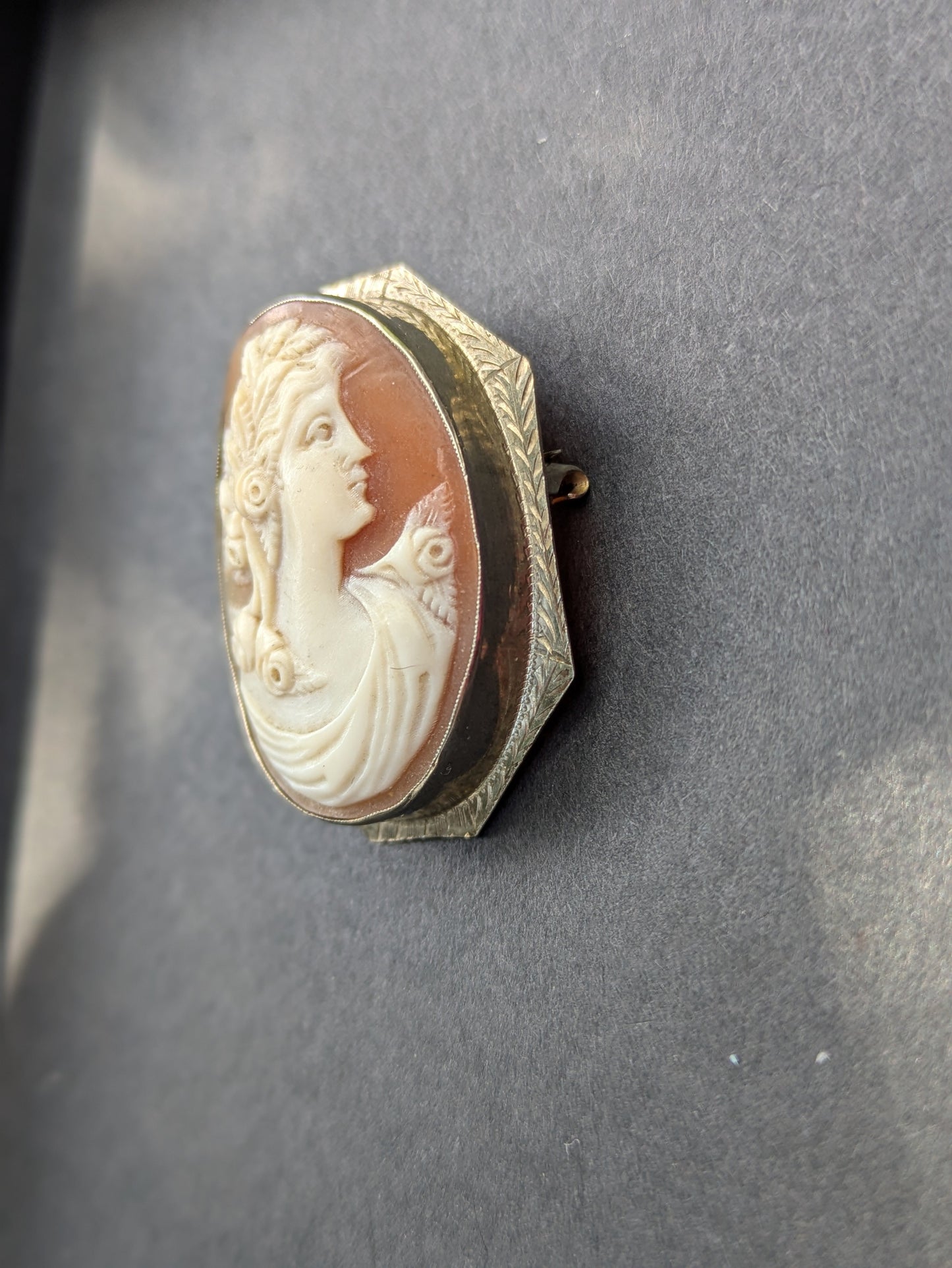 10k White Gold Framed Shell Cameo Pin/Pendant