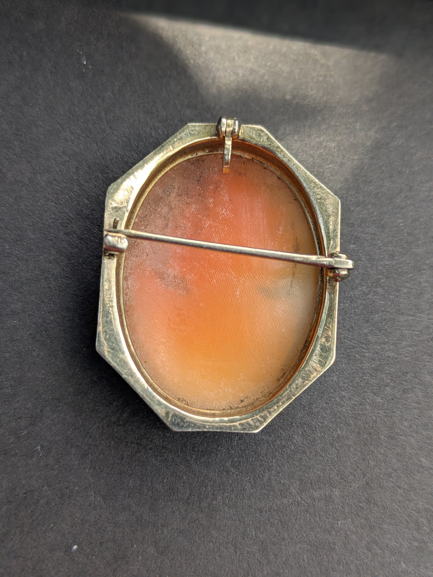 10k White Gold Framed Shell Cameo Pin/Pendant