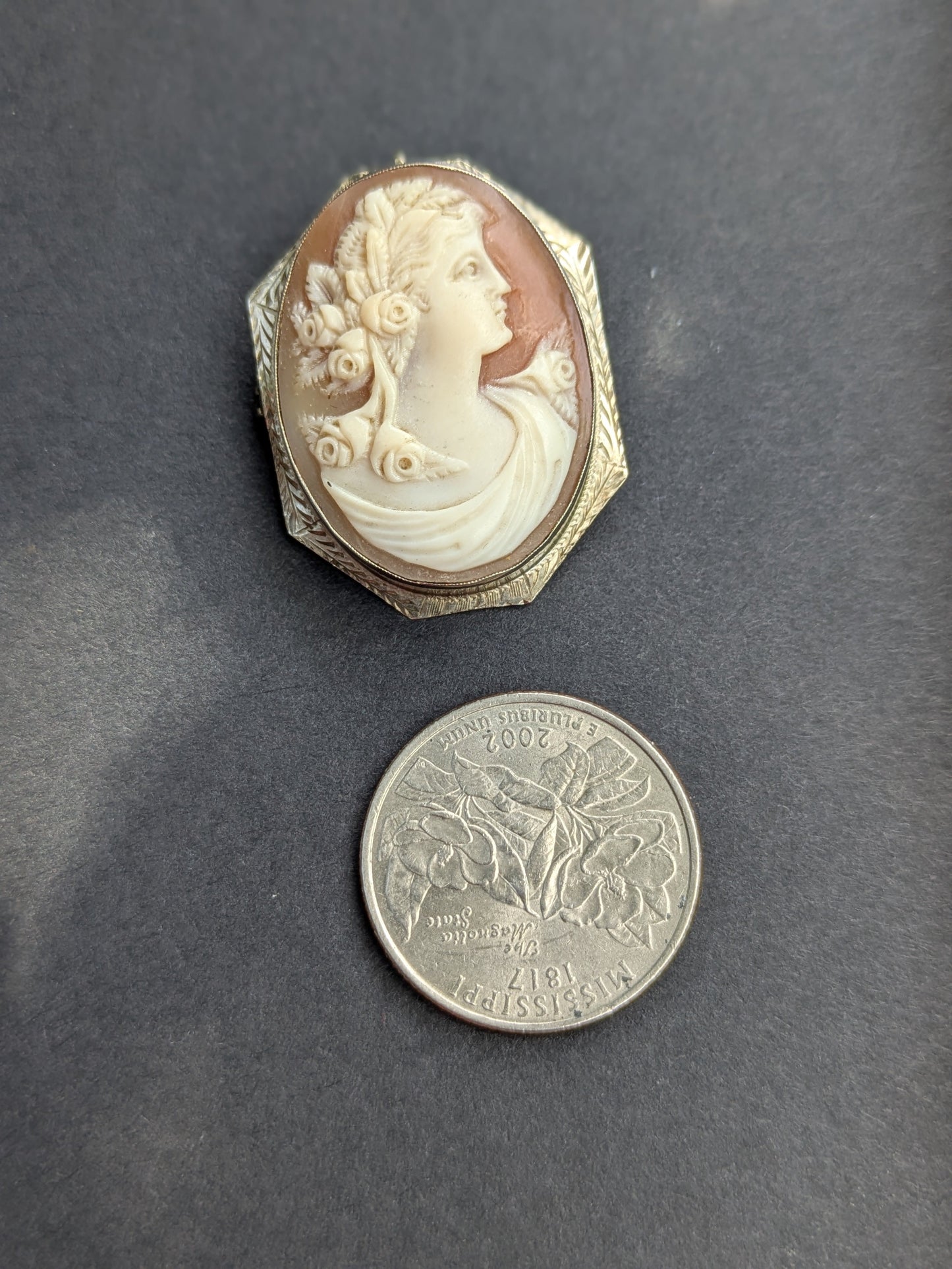 10k White Gold Framed Shell Cameo Pin/Pendant
