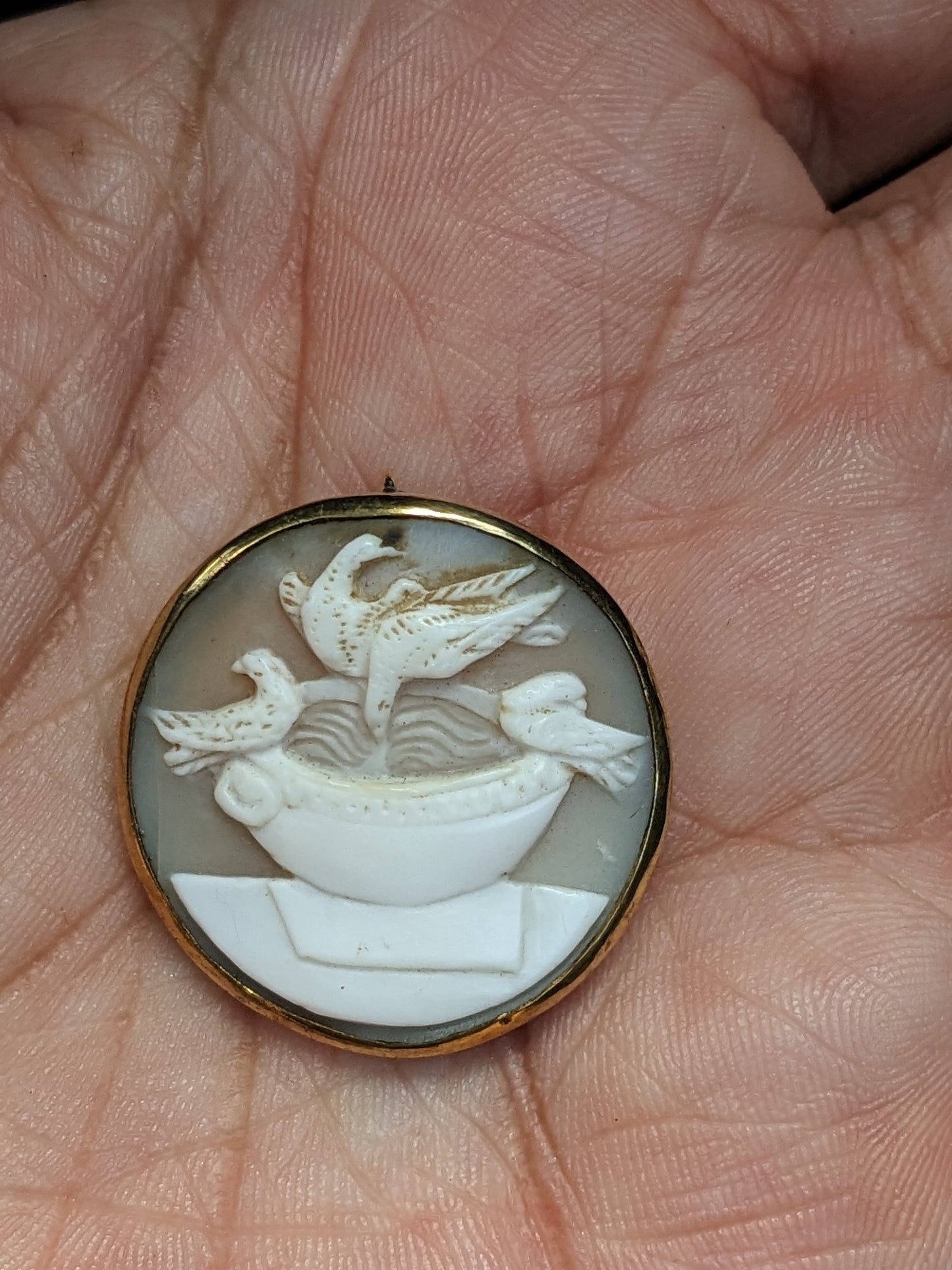 Pliny the Elder Cameo Pendant