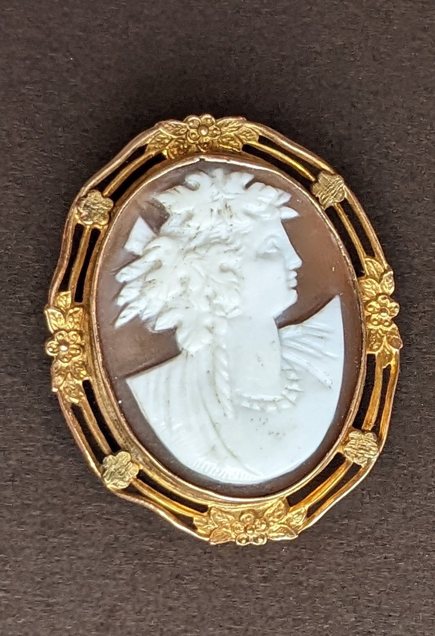 14k Floral Frame on Shell Cameo Pin/Pendant