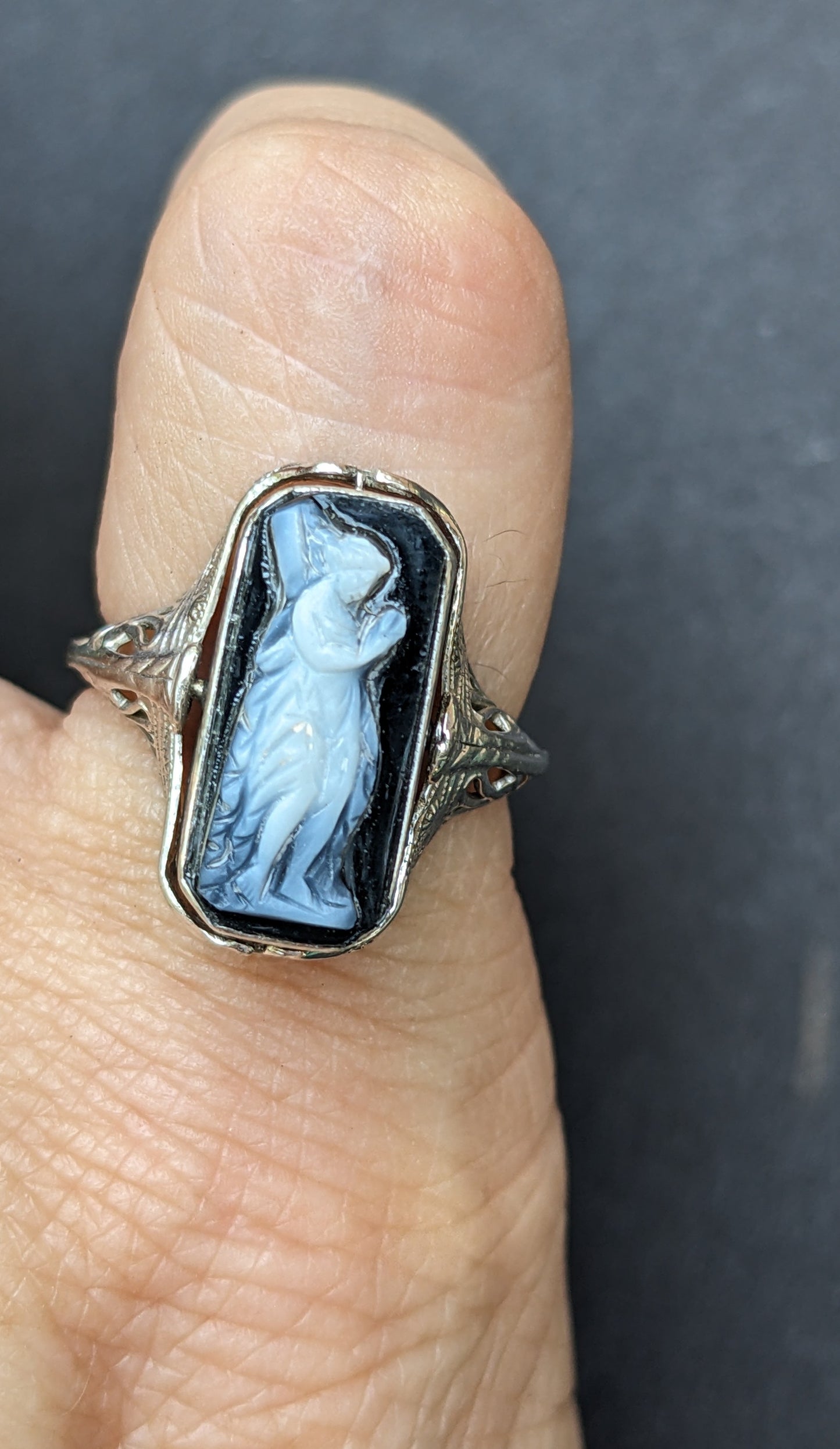 14k White Gold, Cameo, Onyx, and Diamond Flip Ring