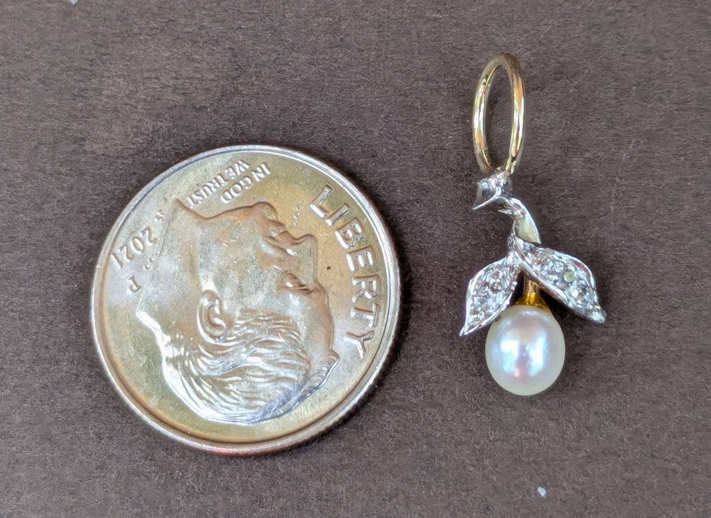 14kt White Gold Pear Fruit with Diamonds Charm