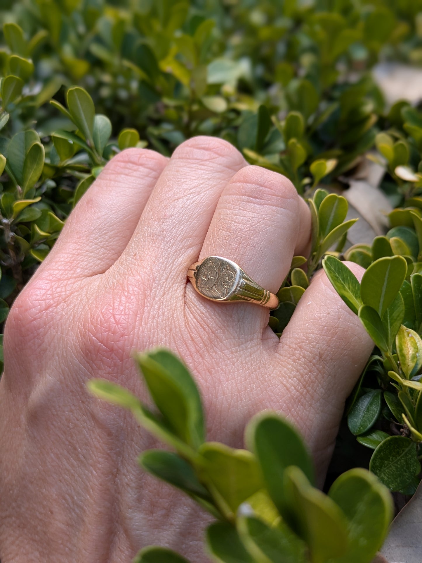 18kt Engraved Boxer Dog Ring