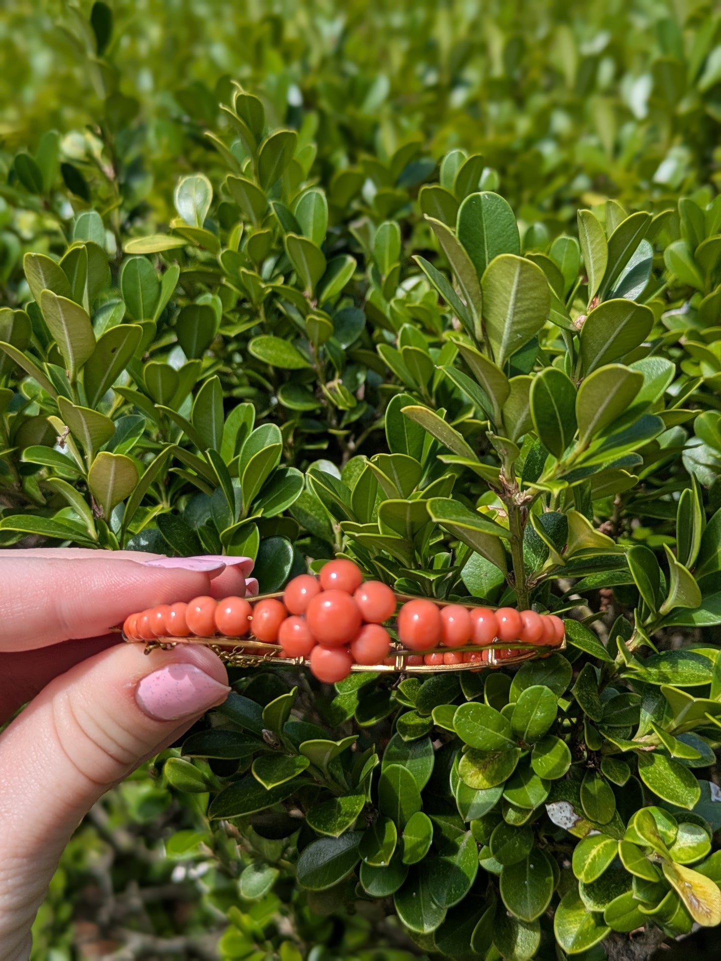 14kt Hinged Coral Bangle Bracelet 1920's