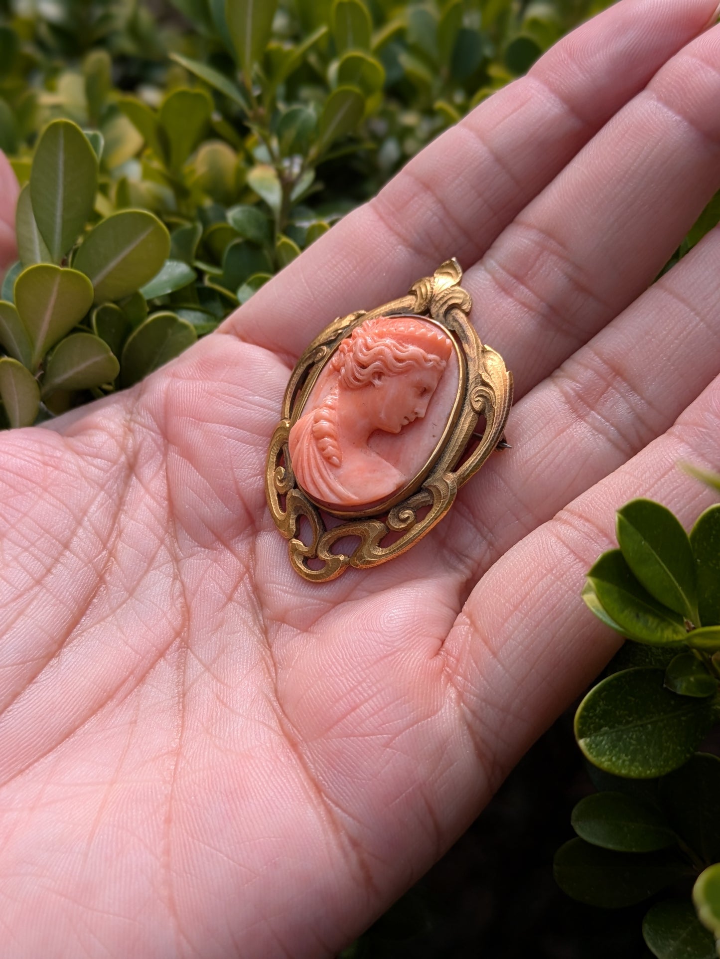 Art Nouveau Carved Coral Cameo Brooch