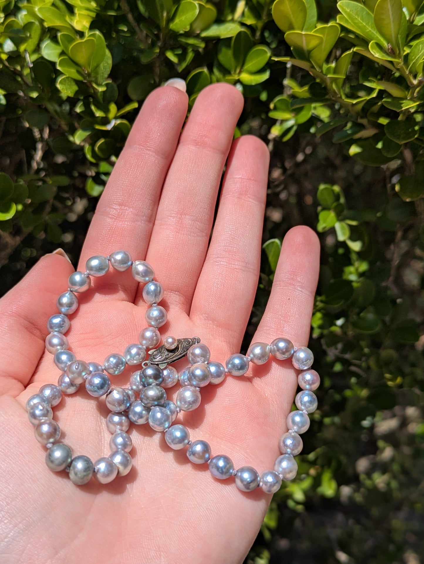 Grey Pearl with Original Vintage Silver Clasp