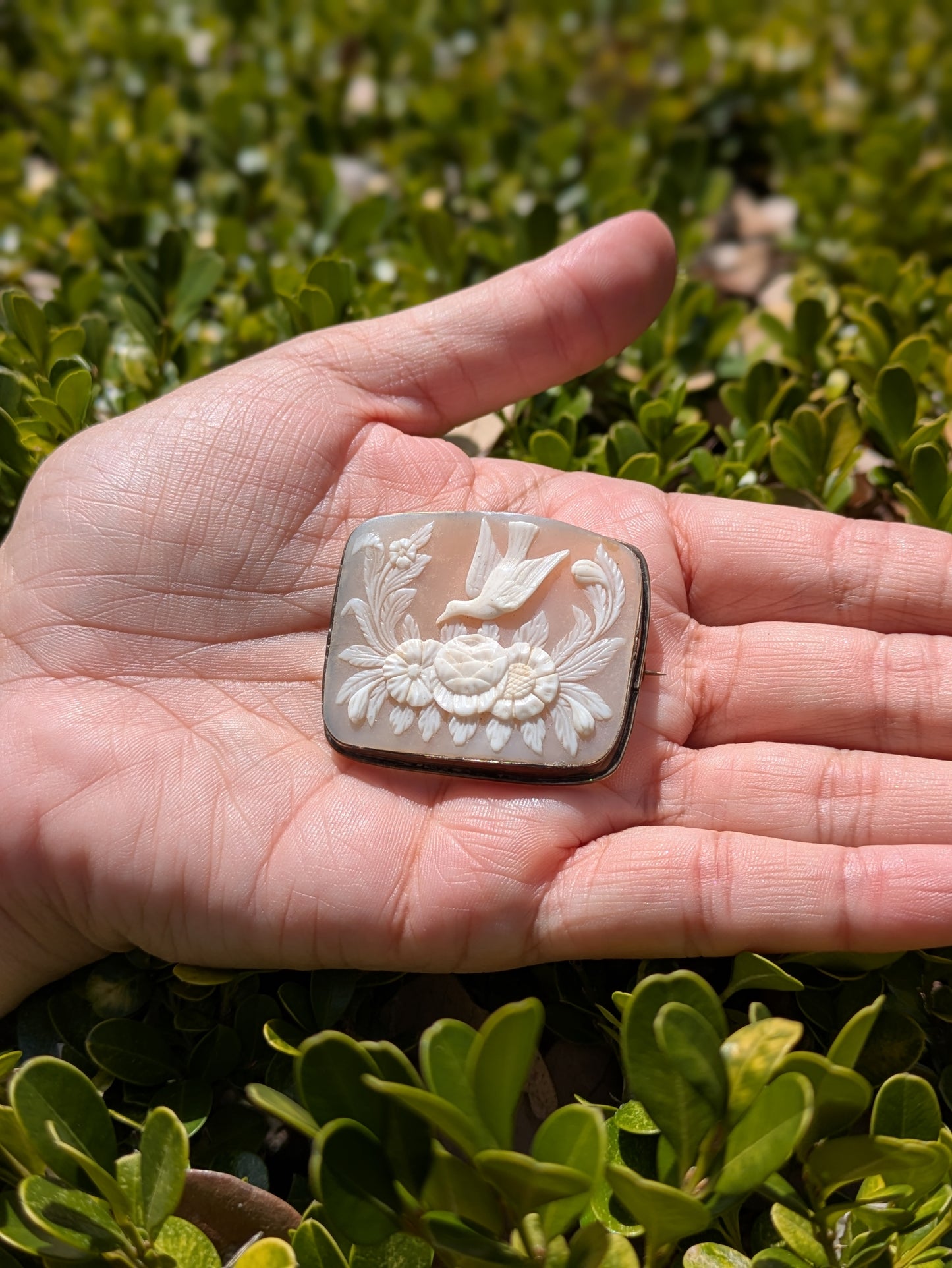 9kt Shell Cameo With Dove And Flowers
