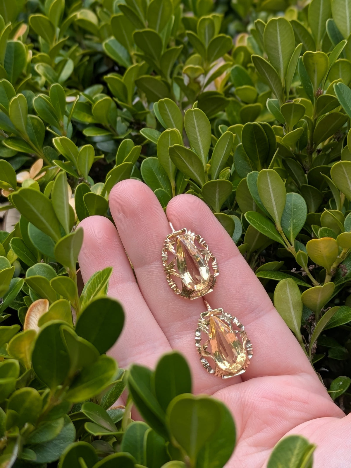14kt Citrine Earrings on Bishop Hooks
