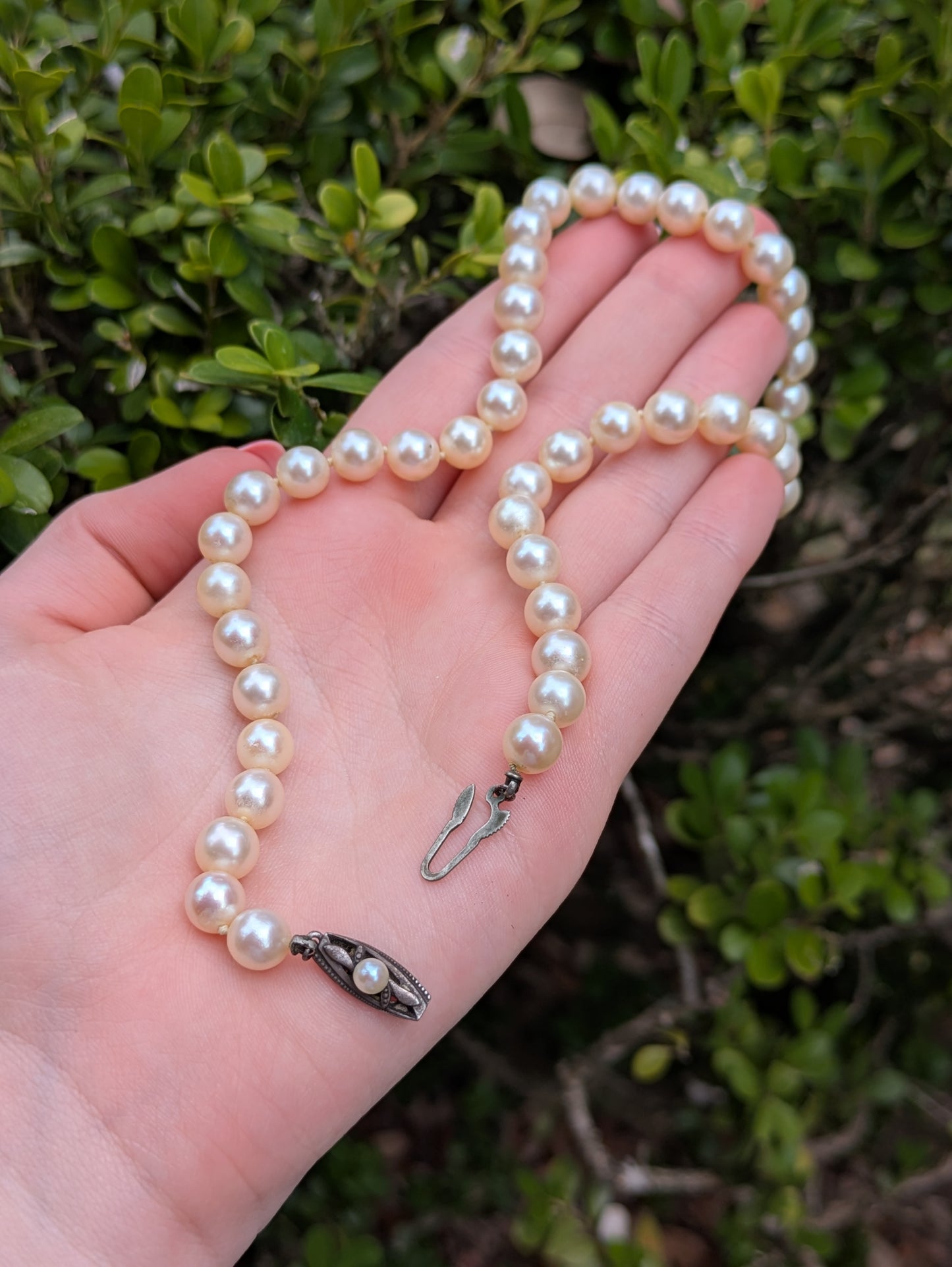 Original Mikimoto Pearl Necklace with Sterling Clasp