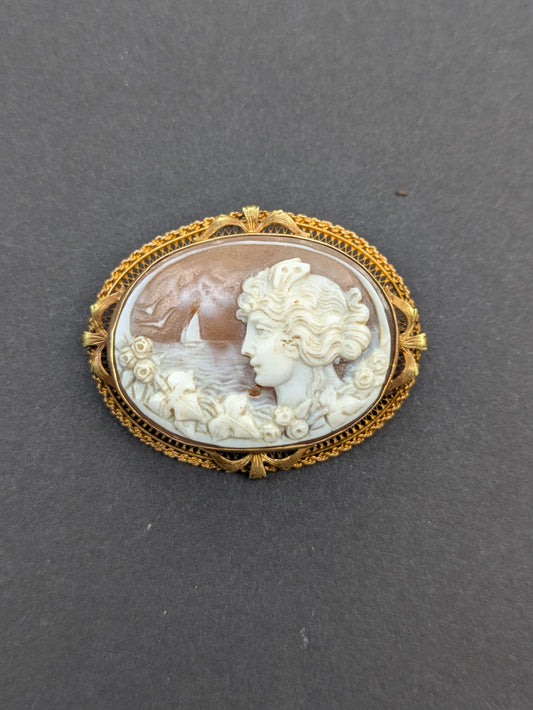 Elaborate Oval Shell Cameo Brooch in 10k Frame