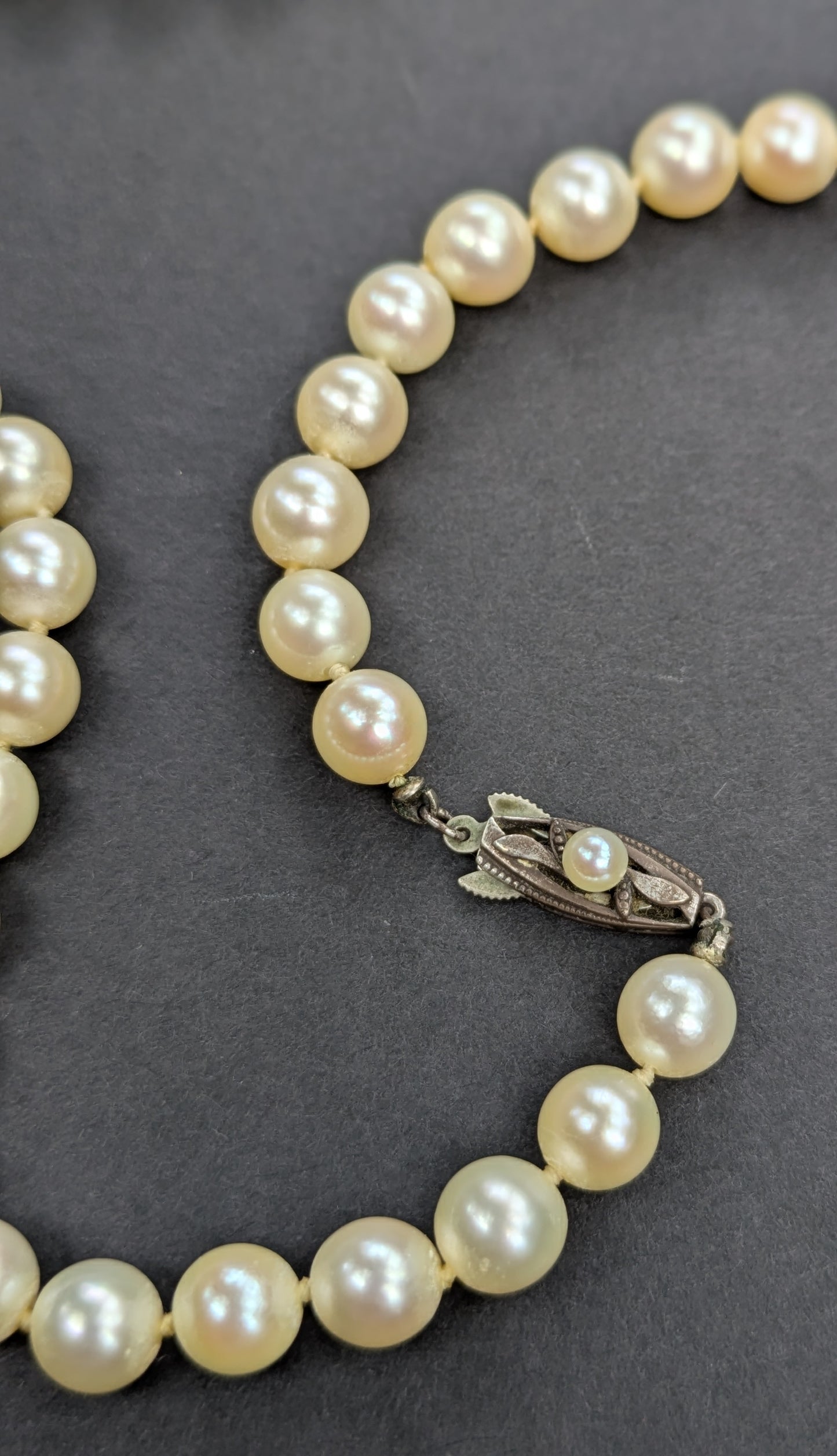 Original Mikimoto Pearl Necklace with Sterling Clasp