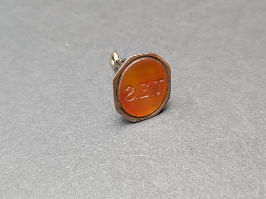 9k English Hallmarks Bloodstone and Carnelian Fob