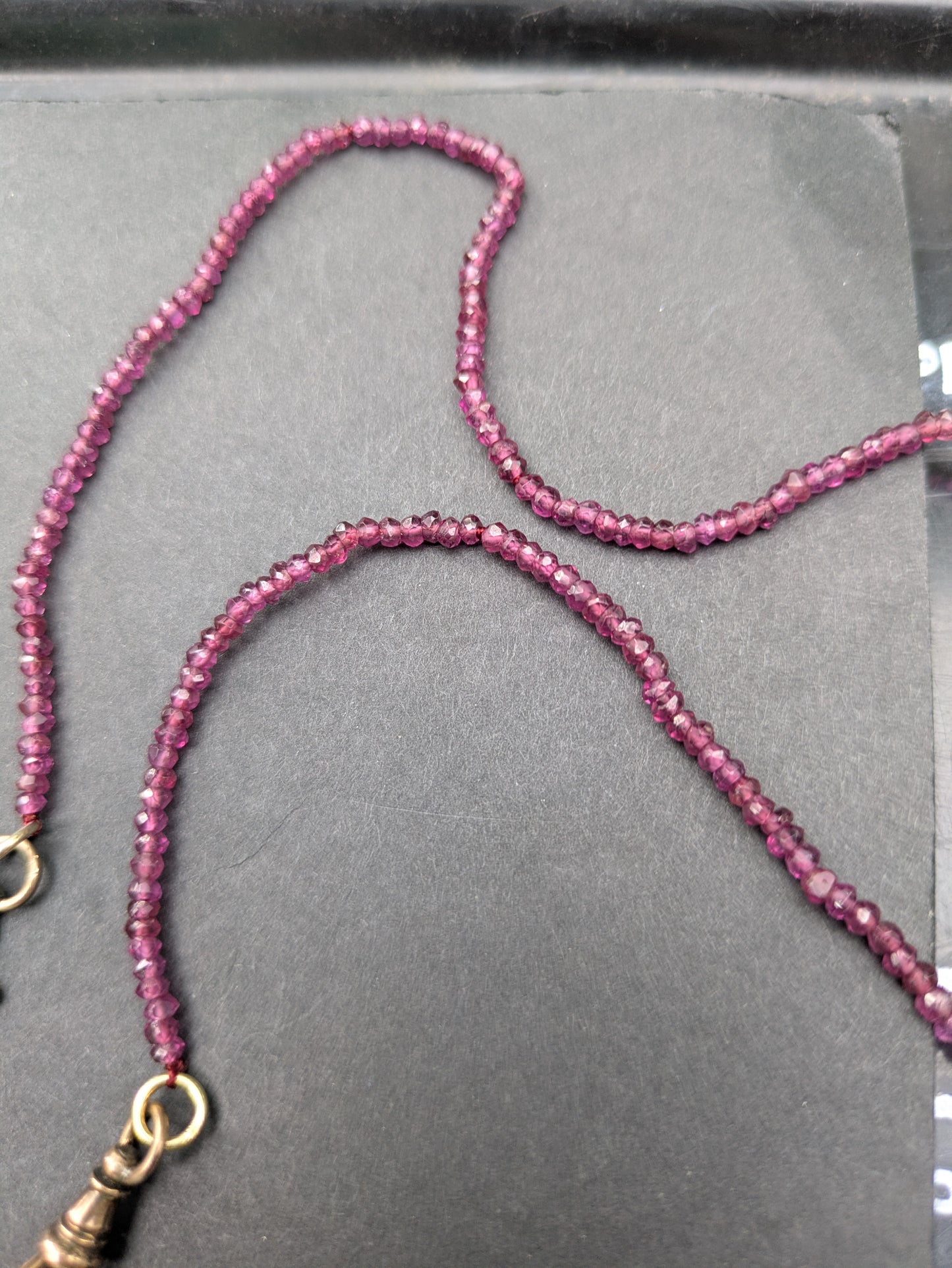 Ruby Dog Clip and Buckle Necklace