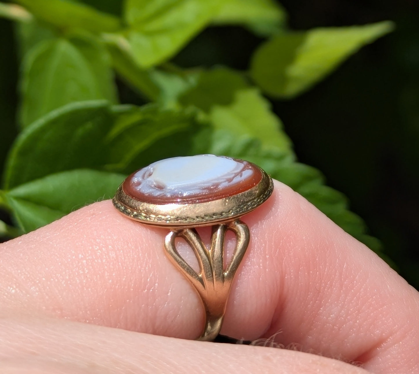 14kt Sheild Cameo Ring