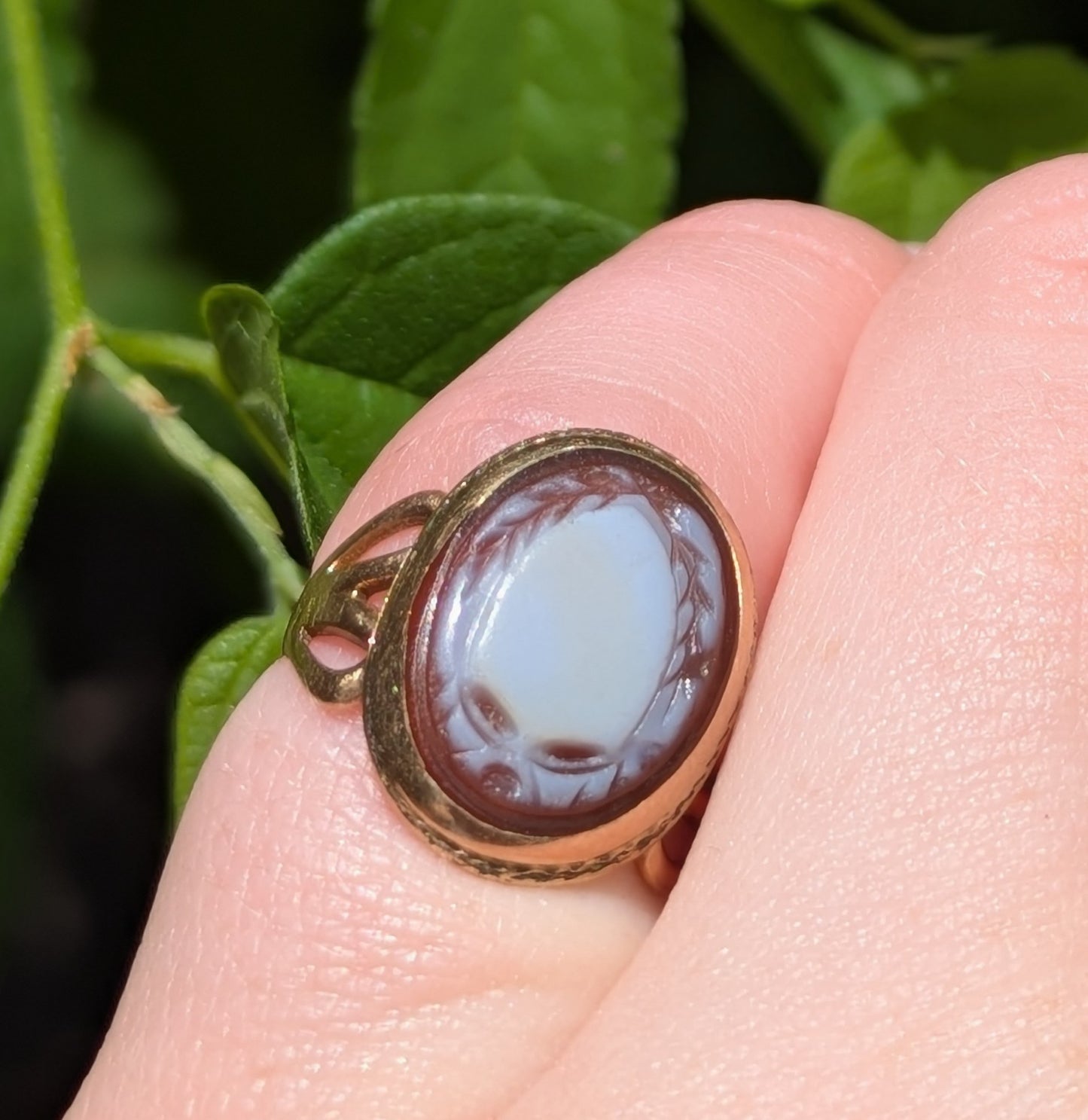 14kt Sheild Cameo Ring