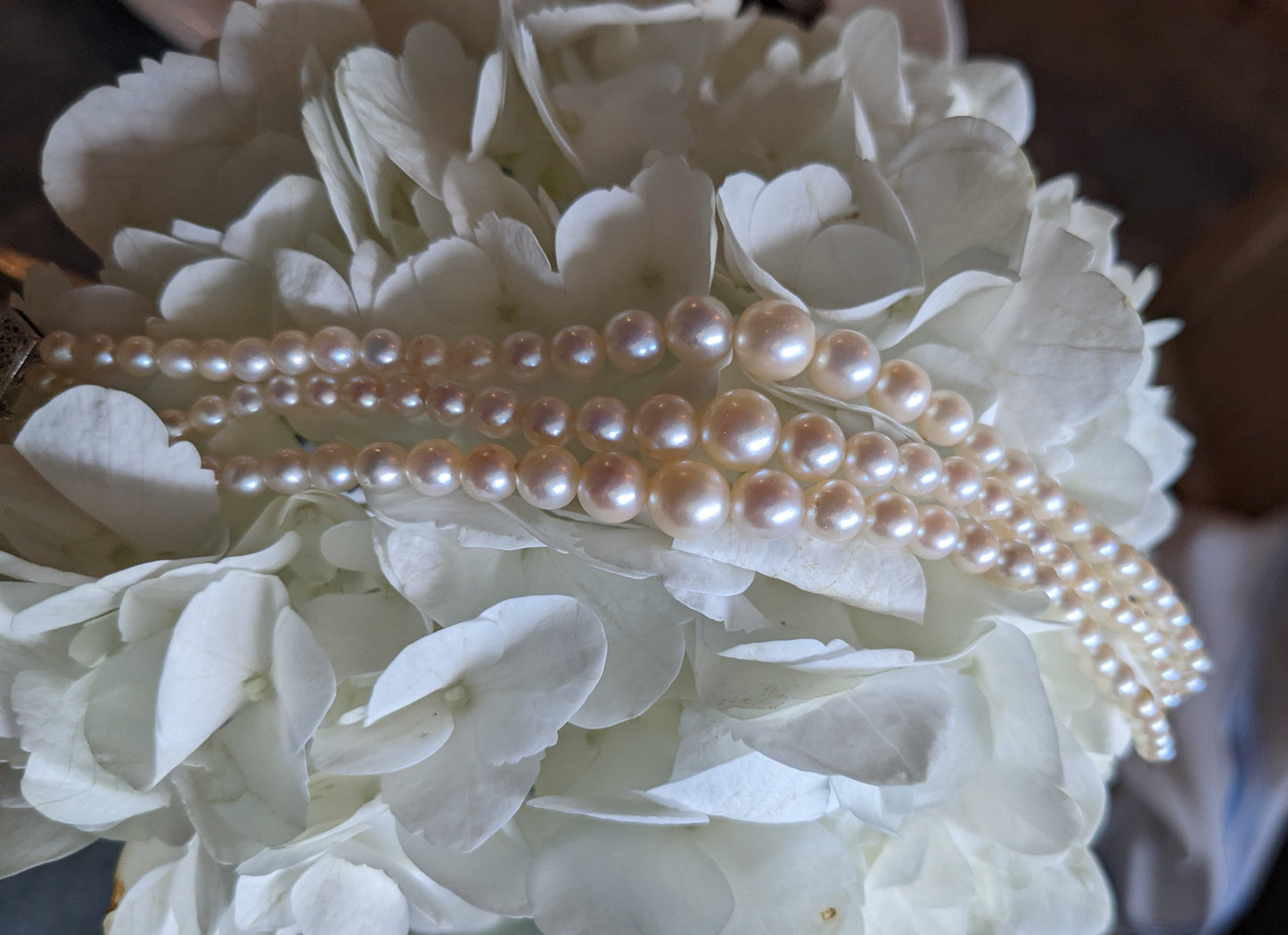 three strand pearl bracelet with 10kt white gold clasp