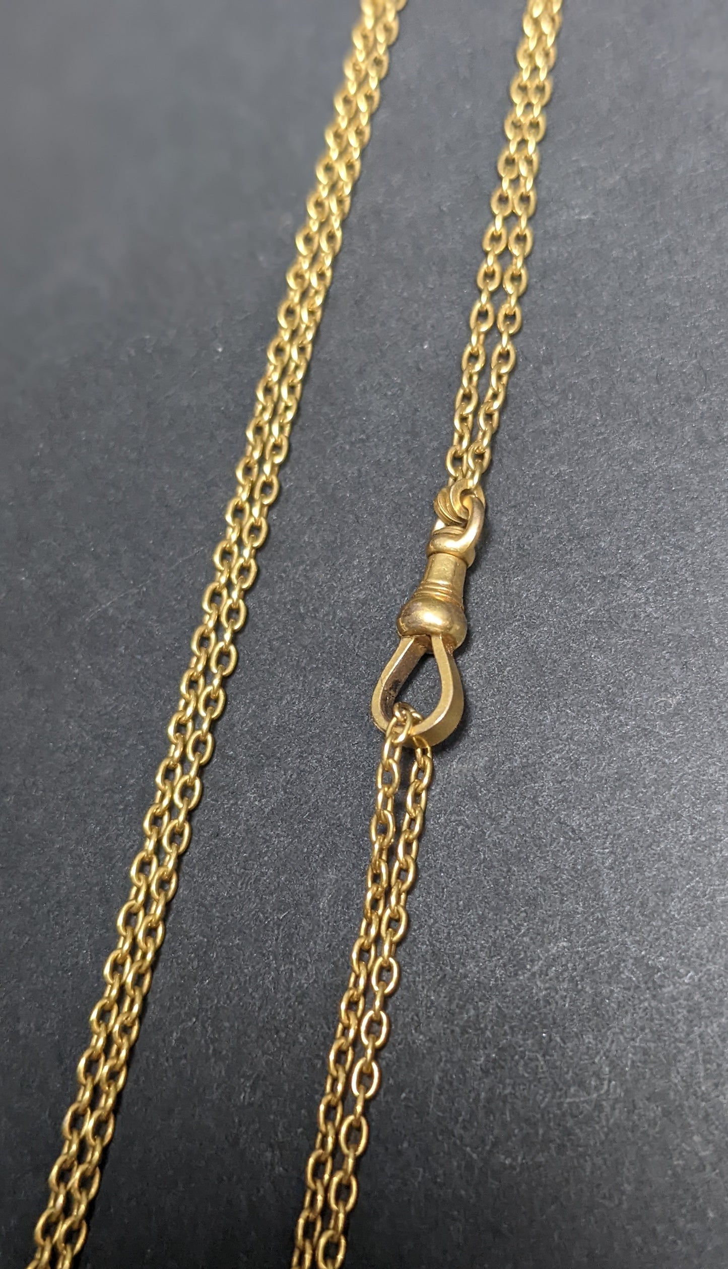 Guard chain with dog clip 24'