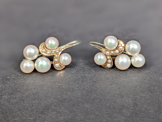 Pearl Cluster 14kt gold shepherd hook earrings with Seed pearls